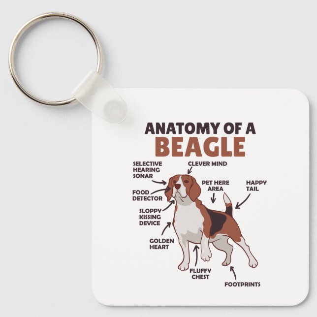 Chaveiro Anatomia De Um Beagle Cute Cães Engraçados (Frente)