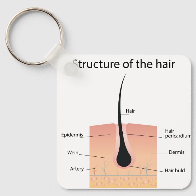 Chaveiro anatomia dos ossos do pé (Frente)