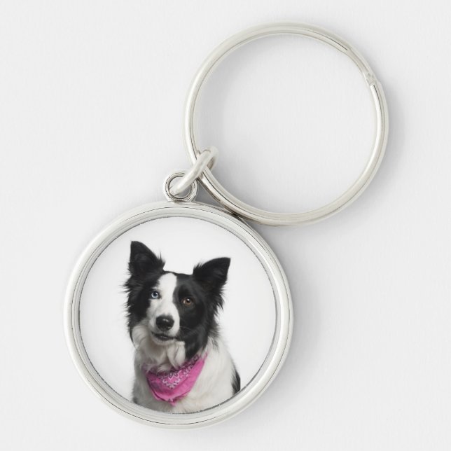 Chaveiro Anel chave de border collie (Frente)