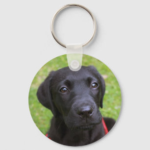 Chaveiro Anel chave preto de Labrador