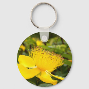 Chaveiro Anel de Chaves Hypericum Calcyinum