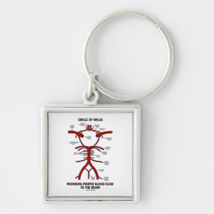 Chaveiro Anél do Willis que fornece o cérebro apropriado da