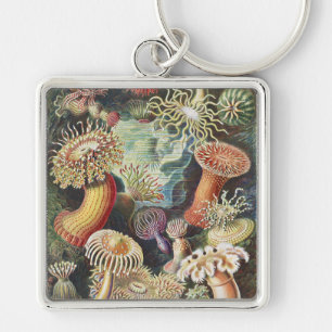 Chaveiro Anêmonas-do-mar de Haeckel Colagem de arte náutica