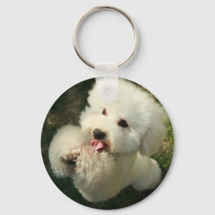 Chaveiro Animais De Companhia, Cachorro, Poodle