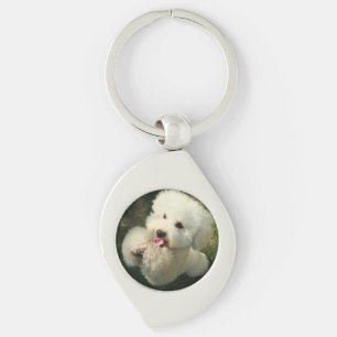 Chaveiro Animais De Companhia, Cachorro, Poodle