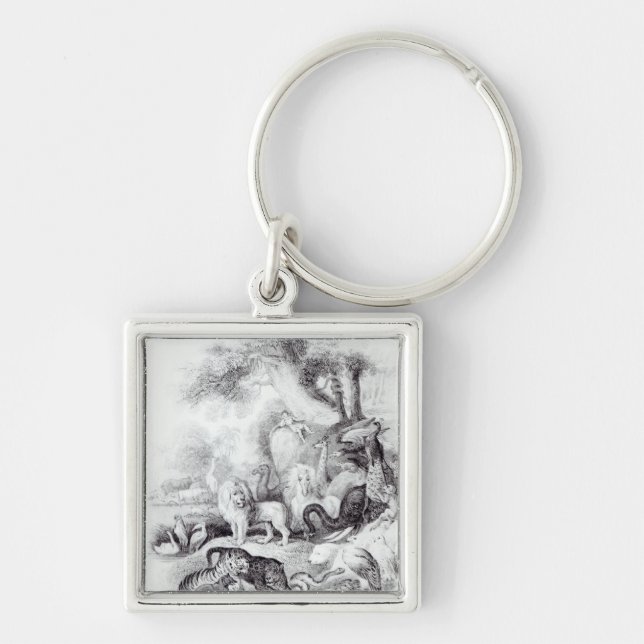 Chaveiro Animais selvagens 'de uma história da terra (Frente)