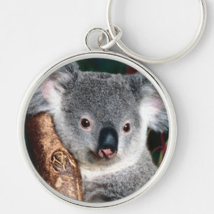 Chaveiro Animal do país do interior de Austrália do urso de