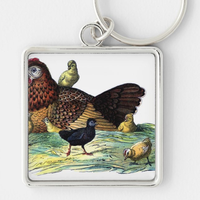 Chaveiro Animal do vintage das galinhas (Frente)