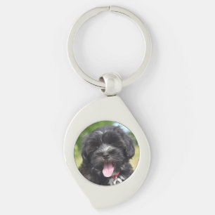Chaveiro Animal, Mamífero, Cão