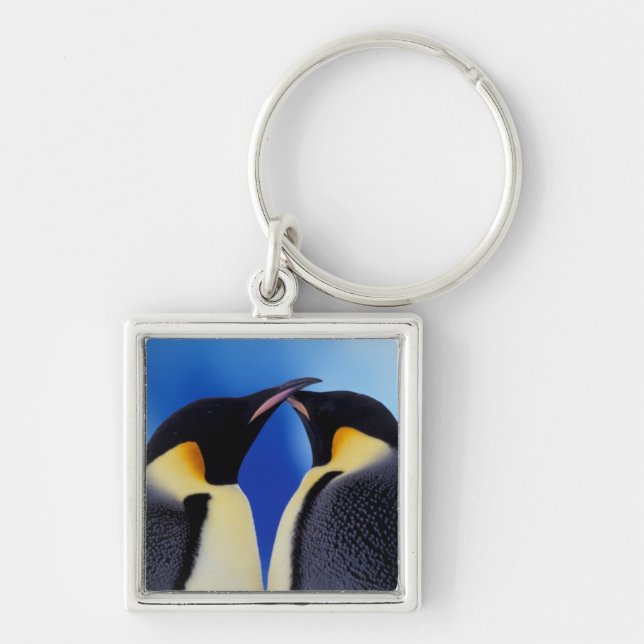 Chaveiro Antártida, Pinguins-imperadores (Frente)