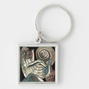 Chaveiro Anthologia Seashell