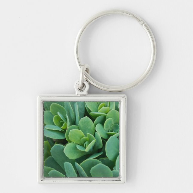 Chaveiro Apenas Sedum (Frente)