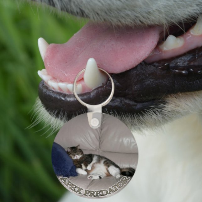 Chaveiro Apex Predator Fat lazy cat keychain (Criador carregado)