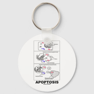 Chaveiro Apoptose (Morte Celular Biológica)