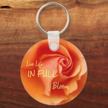 Apricot Peach Rosa Flower Close (Fechar foto)