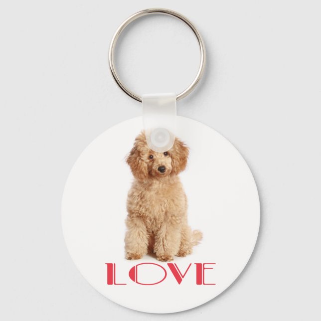 Chaveiro Apricot Poodle Puppy Dog Red Love Key Chain (Frente)