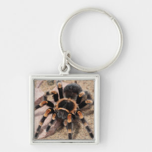 Chaveiro Aranha Vermelha Mexicana Tarantula