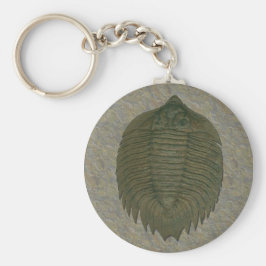 Chaveiro Arctinrus Boltoni Fossil Trilobite