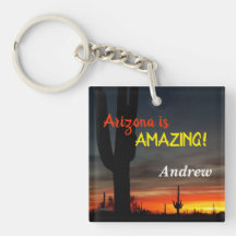 "Arizona é incrível!" Sonoran Desert Cactus Sunset