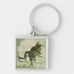 Chaveiro Arrancas na água