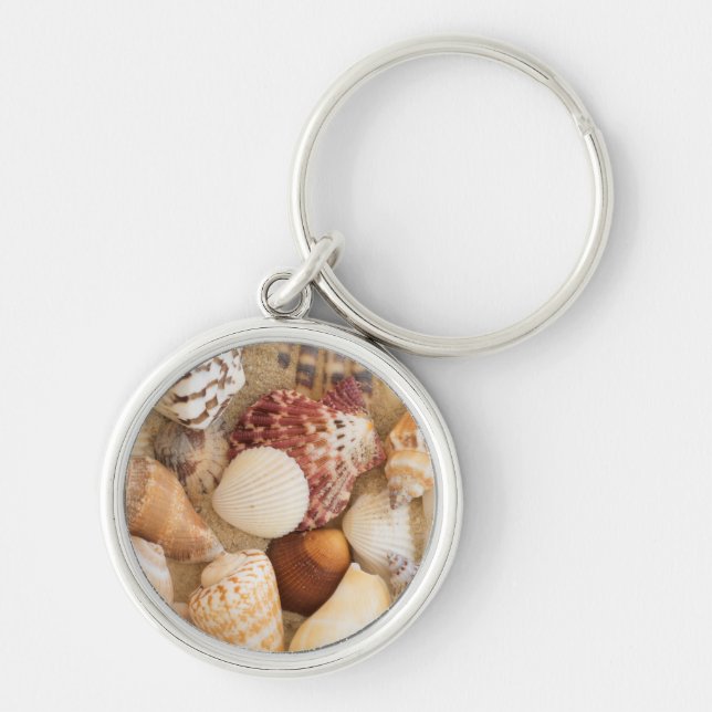 Chaveiro Arranjo do Seashell (Frente)