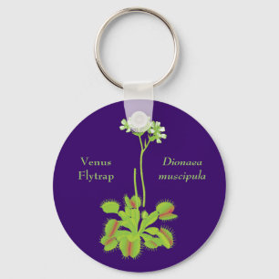 Chaveiro Arte botânica do Flytrap de Venus