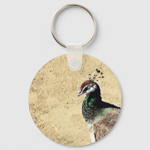 Chaveiro Arte de Pavão Elegante e Pena