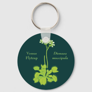 Chaveiro Arte floral do Flytrap de Venus