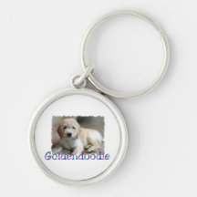 Arte Goldendoodle