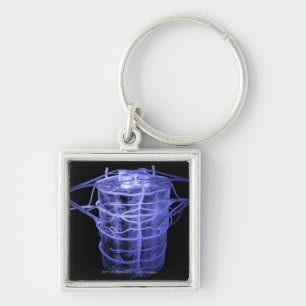 Chaveiro Artérias que cercam a parte da coluna espinal