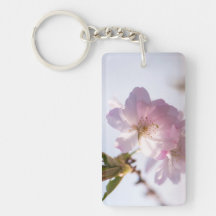 árvore de floração primavera