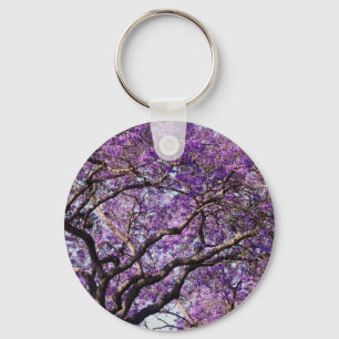 Chaveiro Árvore de Jacaranda em flores de primavera