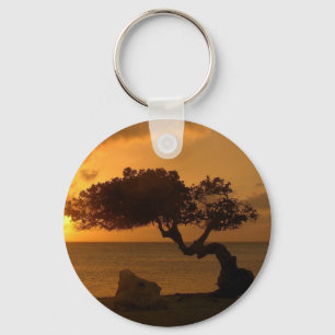 Chaveiro Árvore Divi Divi Aruba Sunset