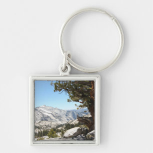 Chaveiro Árvore velha no parque nacional de Yosemite
