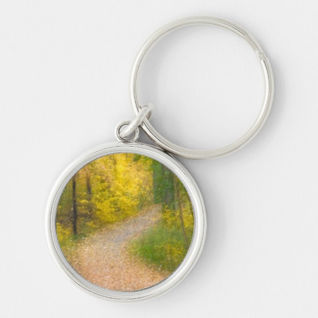 Chaveiro Árvores no outono e caminho coberto por folhas (Frente)