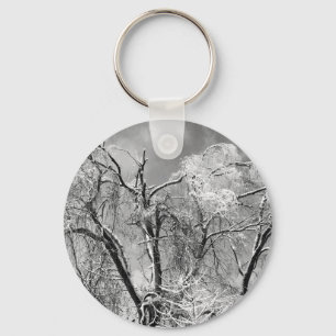 Chaveiro árvores vestem inverno