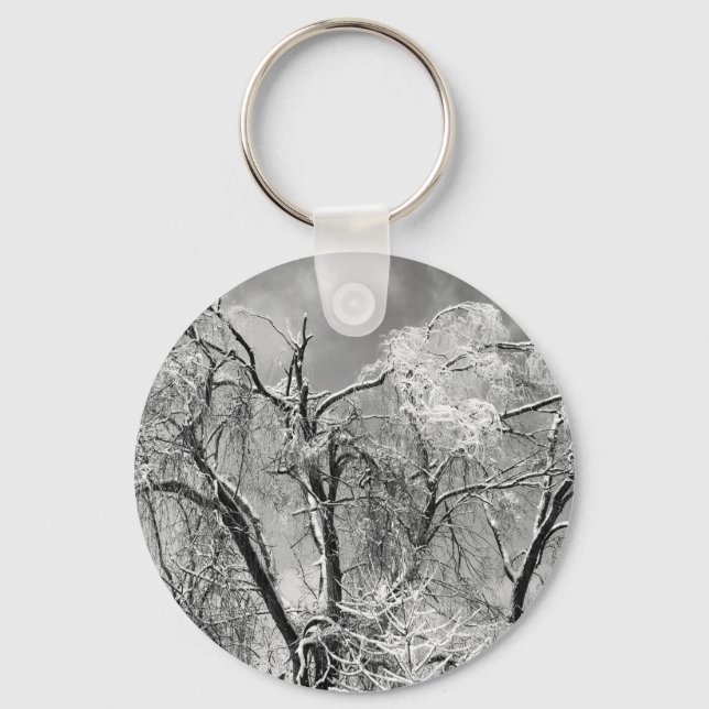 Chaveiro árvores vestem inverno (Frente)