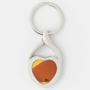 Chaveiro As dunas vermelhas de Sossusvlei