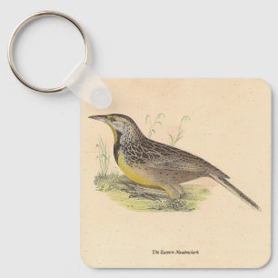 Chaveiro As NY Aves (Sturnella magna)