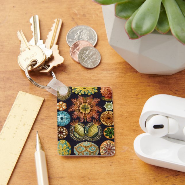 Chaveiro Ascidiae por Ernst Haeckel, Animais Marinhos Vinta (Mesa)