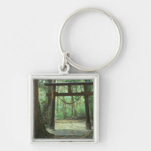 Chaveiro Ásia, Japão, Kagoshima, Yakushima, Montanha