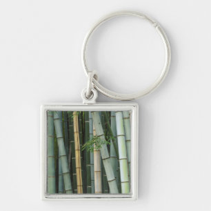 Chaveiro Ásia, Japão, Kyoto, Arashiyama, Sagano, Bambu