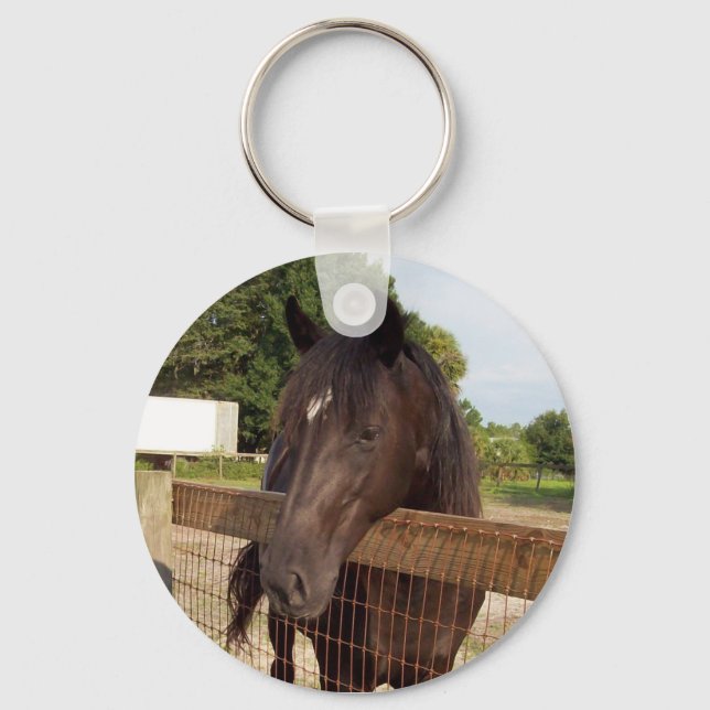 Chaveiro asneira (Frente)