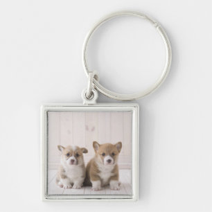 Chaveiro Assento do Corgi dois Galês