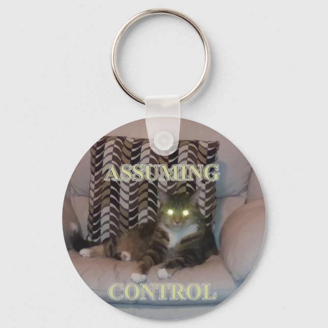 Chaveiro Assuming Control cat keychain (Frente)