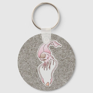 Chaveiro até uma lula odiosa pode amar