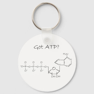 Chaveiro ATP obtido?