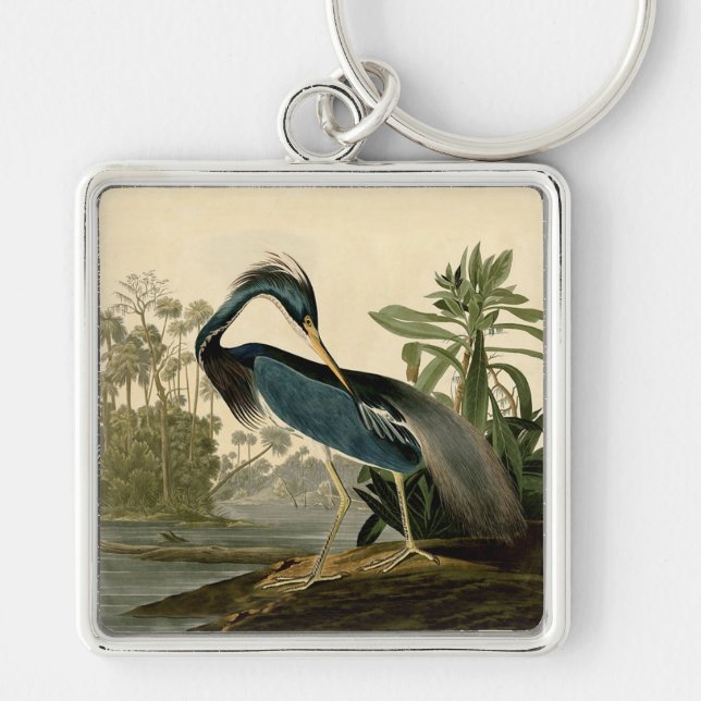 Chaveiro Audubon Garça da Louisiana Pássaros América Arte (Frente)
