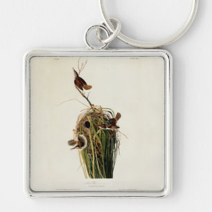 Chaveiro Audubon Marsh Wren Bird Art
