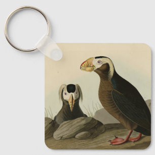 Chaveiro Auk Tufted (Puffin) - Aves da América de Audubon
